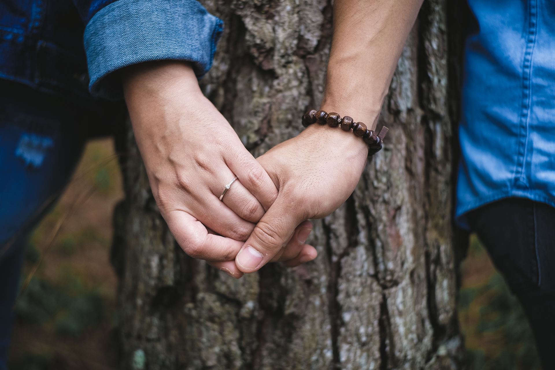 a closure up of holding hands in front of a tree 